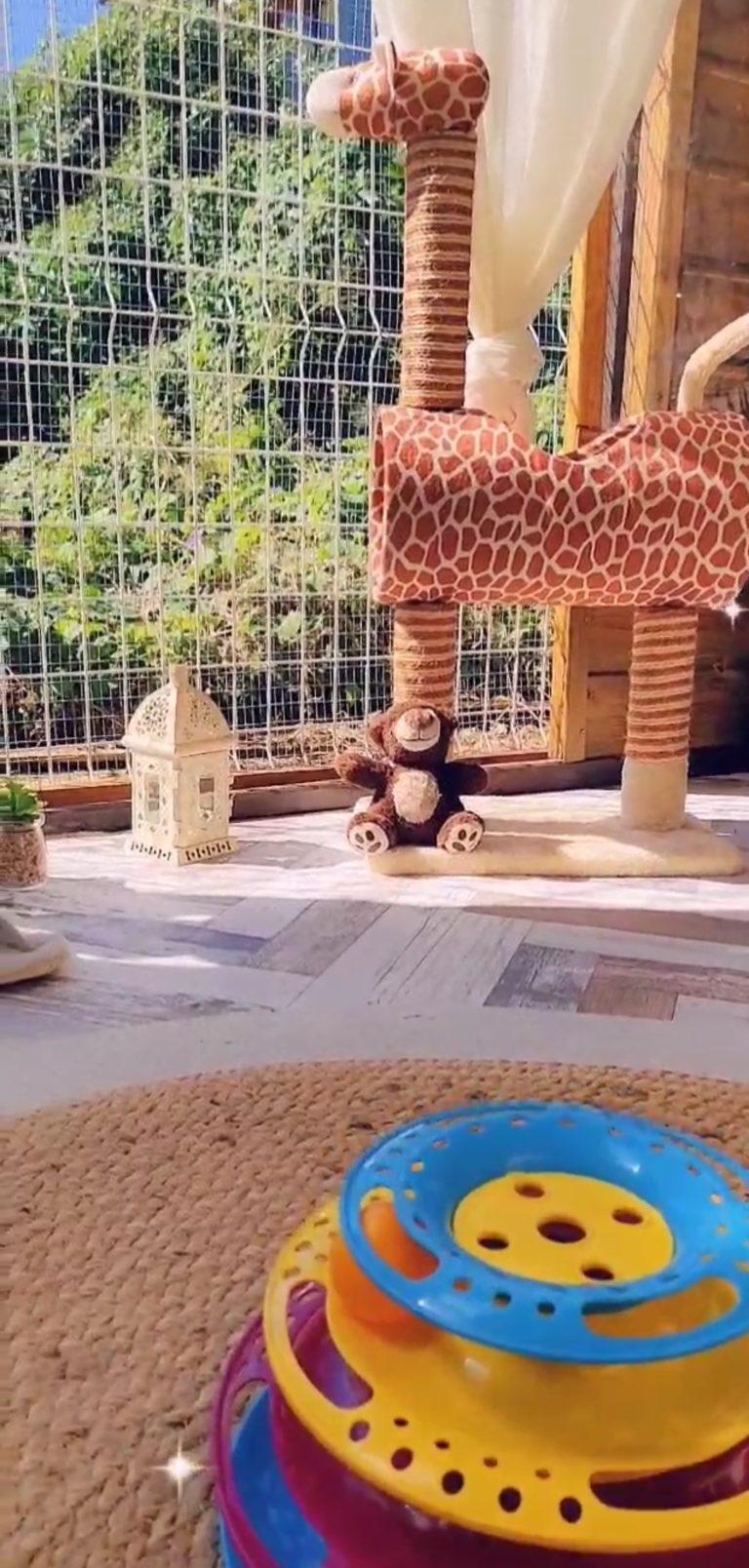 catio2