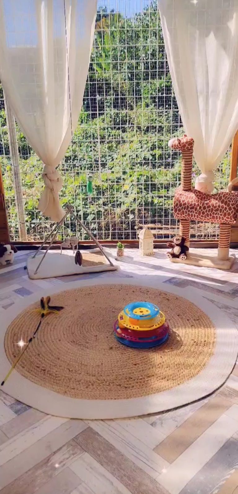 catio3