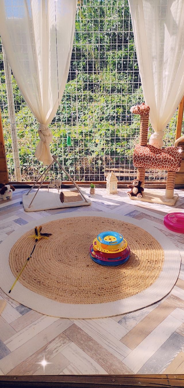catio4