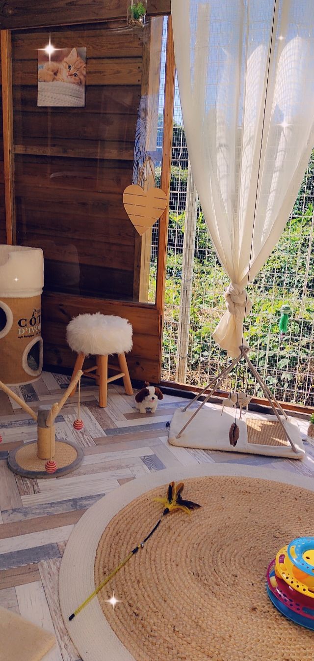 catio5